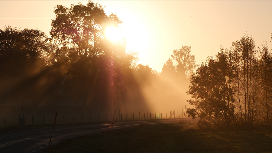 Morning mist Stråkeved